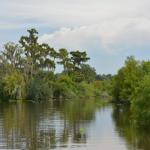 OTRA2014_1553 (September 03, 2014)